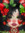Val