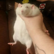 Katie