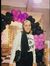 Habiba ...