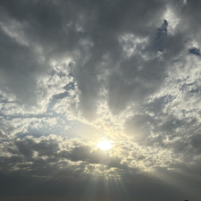 عبدالرحمن الرشيدي