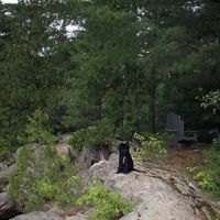 Kathy Chamney-Gingras