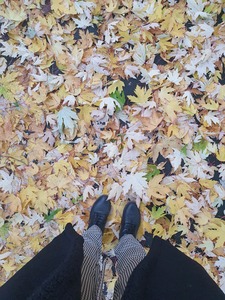 Forestgreen