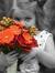 Siham Saif