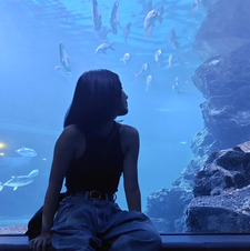Whan Kanmanee