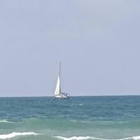 Drora Klement Katzav