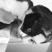 Χαρα Ματροζου