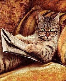 Heather Robinson (GFB)