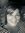 Susan Harrison