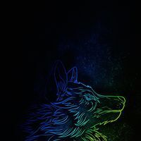 الذئب الوحيد