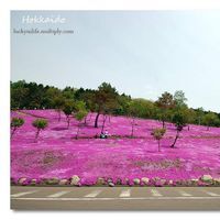 طارق الخوالدة اﻷثري