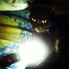 *:•° ✧ katie *:•° ✧