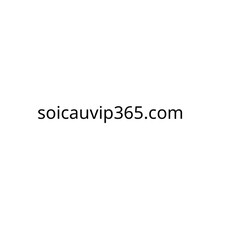Soi Cầu VIP 365
