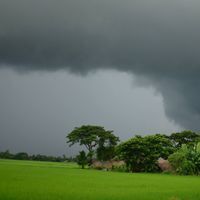 সুজাতা বিশ্বাস