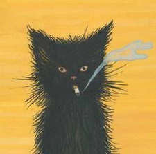 ✧･ﾟ:* nikkidotti✧･ﾟ:*･ﾟ