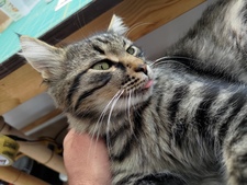 Борис Леков