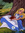 Christy | 19 comments