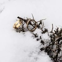 Ρούλα Καλογεράκη