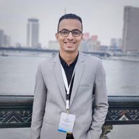 Hesham Mohamed
