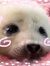 elena ☆ﾟ⋆｡˚