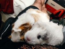 Miguel Rodriguez Vecino