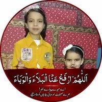 علاء الرفاعي