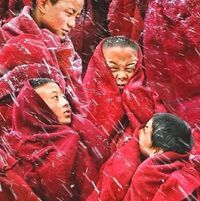 Himalayan Monk