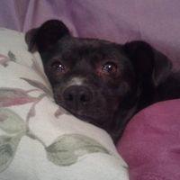 Στελιος Κατερινα