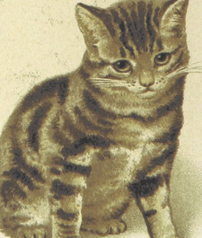 Louis Alder