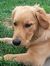 Brody H...