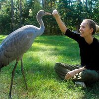 Кристина Кондракова