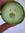 No Gherkins Please