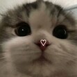 Kris