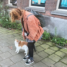 FrllnFuchs