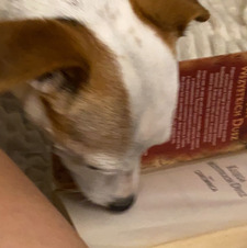 Lenæ ☆⋆｡𖦹°‧★