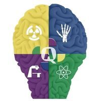 انيس امنيسي