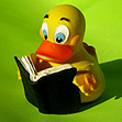 WhatAStrangeDuck
