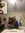 member photo member photo