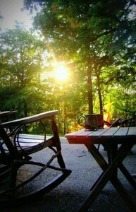 عمّار زكّار