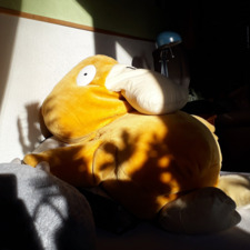 Psyduck the Great Reader