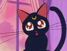 ✧･ﾟ: *✧･ﾟ:* tia *:･ﾟ✧*:･ﾟ✧