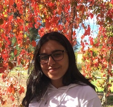 Sofia