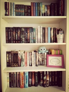 Amaia´s bookshelf