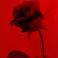 Obsessed With Thrillers