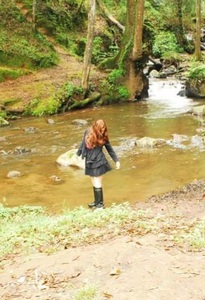 Anina