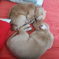 Alexandra Jaramillo Hernandez