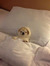 RL Night