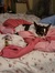 Amy