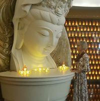 Елена Головань-Вовчок