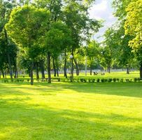 Nimcaan Ina Cali Wagar