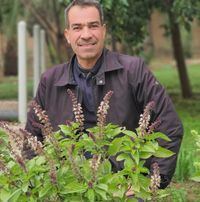 نعمان ملا علي